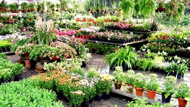 La patronal de centros de jardinería quiere pagar 3.000 € menos anuales a las nuevas contrataciones