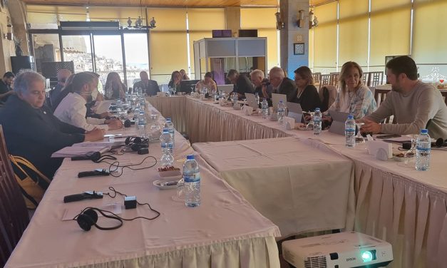 El  pleno del área III Unimed-Finanza se reúne en Turquía